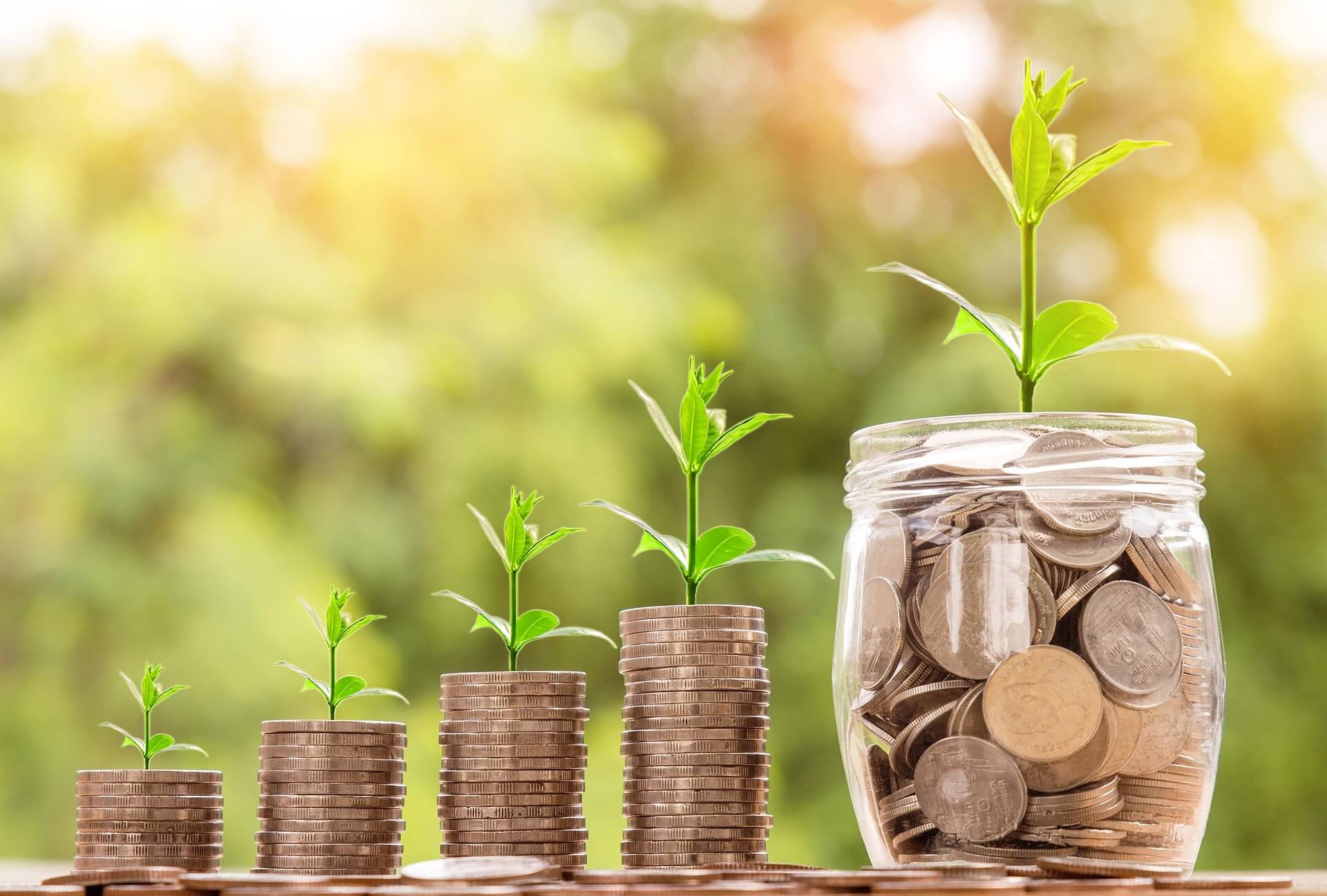 sprouts of business growing with proper financial management
